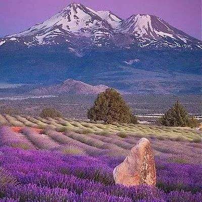 新宝体育官方登录入口截图